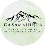logo casa mahuida FOND TRANSPARENTE (300 × 300 px) -2
