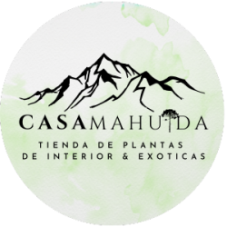 logo casa mahuida FOND TRANSPARENTE (300 × 300 px) -2